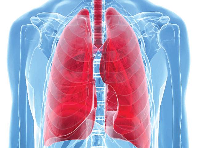 New day in lung cancer as Merck drug shines