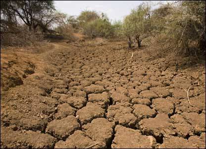 Pak Army relief teams in Mithi‚ Tharparkar to help drought affected people