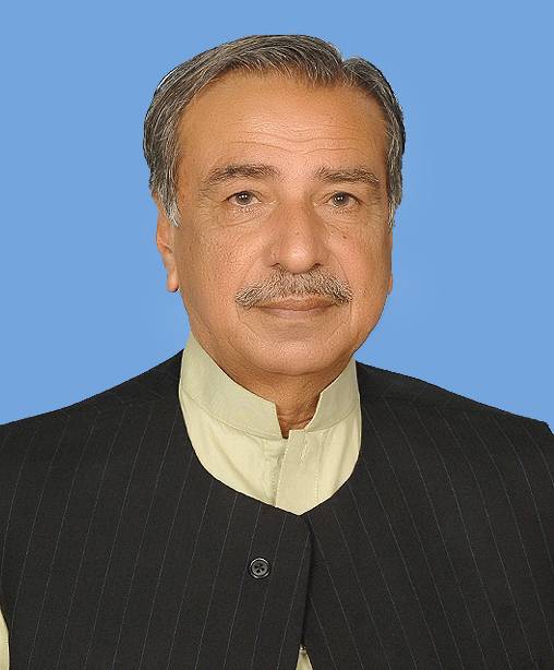 PML-N MNA Malik Sultan disqualified from NA-176 Bahawalpur