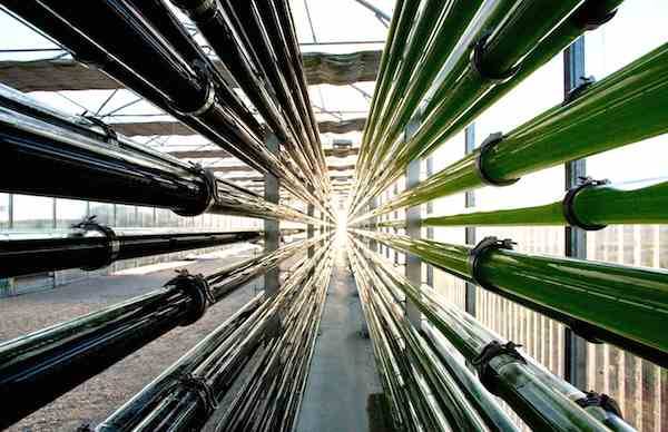 Ghani Global Group sets up Rs1.4b tubing glass manufacturing plant