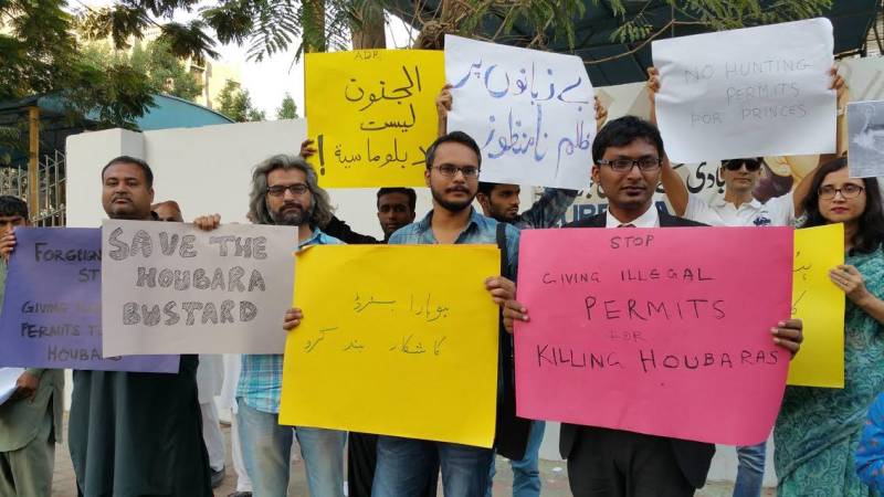 Civil society protests against 'Houbara bustard massacre'