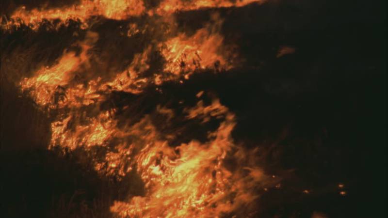 Cotton godown sets on fire in Lahore