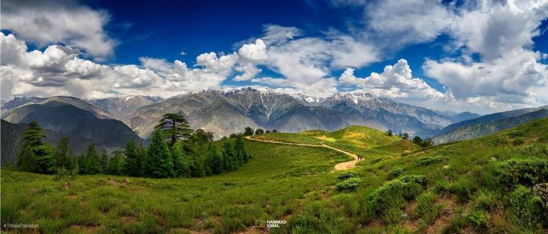 Mesmerizing Chitral: Gol National Park