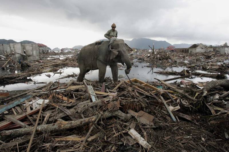 World Tsunami Awareness Day