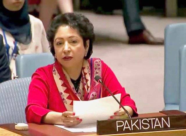 Maleeha says terrorism most pervasive threat to peace