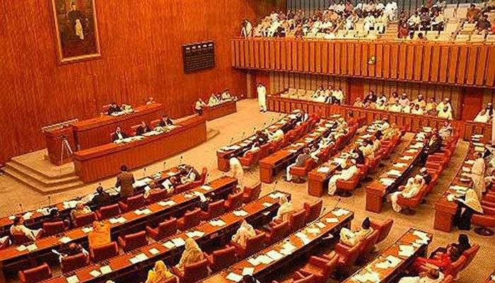 Senate demands action on blasphemy against Prophet Muhammad (PBUH)