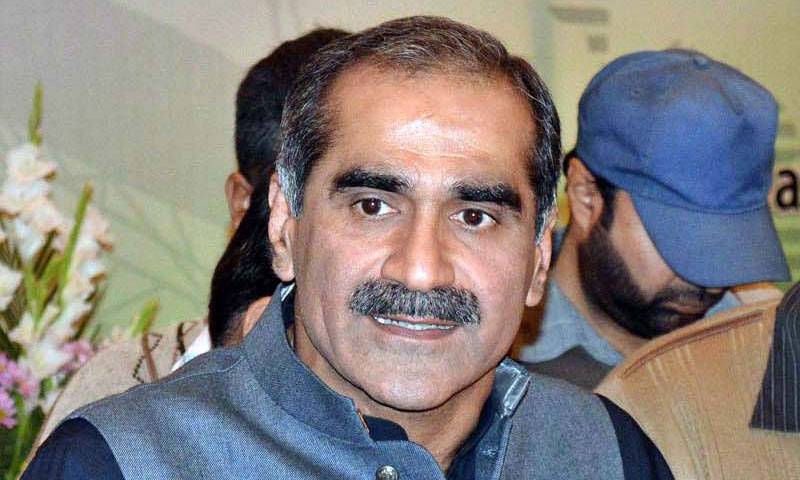 If Alvi elected president it is Zardari's fault: Saad Rafique