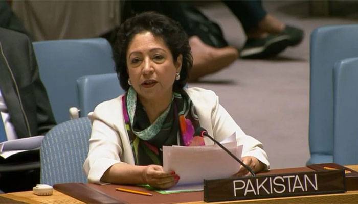 FM Qureshi to present Pakistan's stance in UNGA, says Maleeha Lodhi