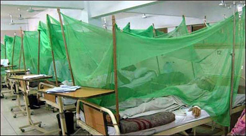  17 more dengue cases surface in Rawalpindi