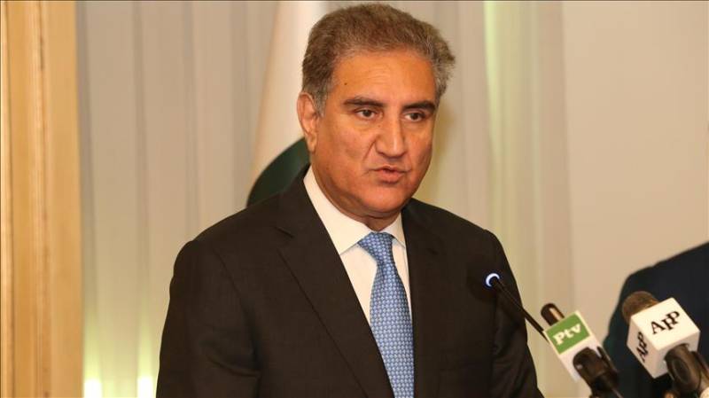 FM Qureshi meets Iraqi Ambassador, discuss bilateral ties