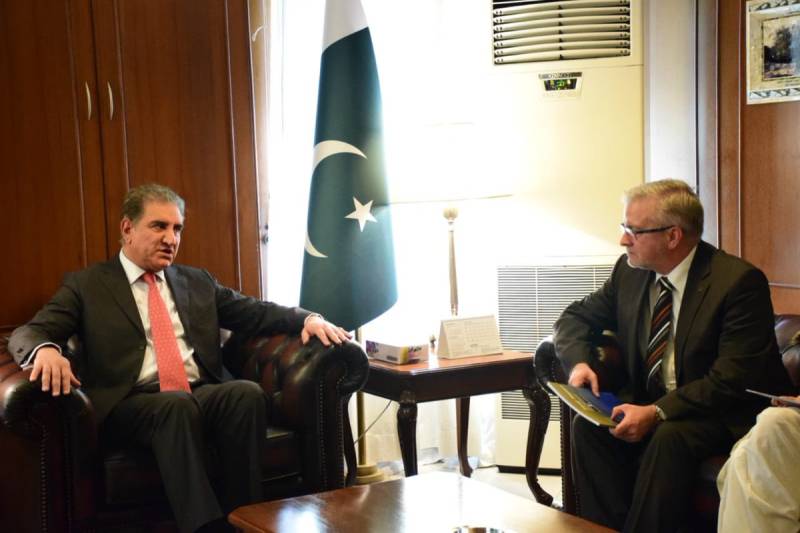 EU's chief election observer calls on FM Qureshi