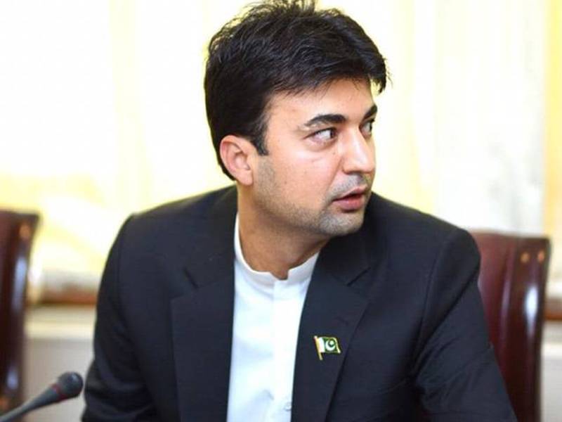 Rs300bn worth trees chopped off prior to PTI govt in KPK: Murad Saeed