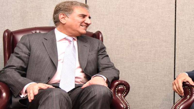 FM Qureshi, British envoy discuss bilateral ties in diverse sectors