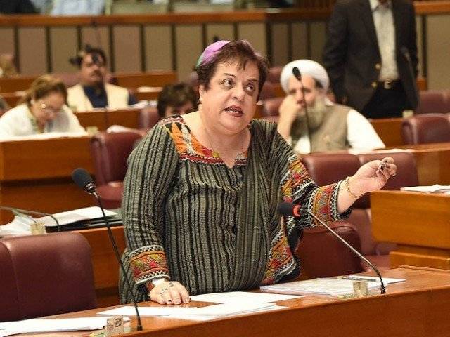 Shireen Mazari highlights Indian HR violation, aggression on LoC