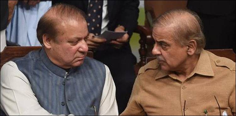 Shehbaz claims govt not allows him to meet Nawaz despite repeated requests