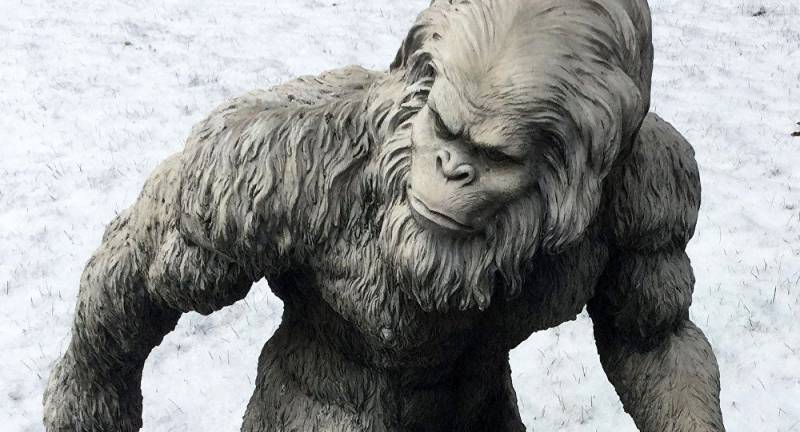 Indian Army says found footprints of 'Yeti' in Himalayas