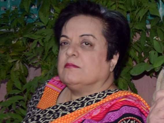 Shireen Mazari assures protection of women rights in country