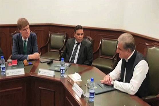  FM Qureshi discusses Kashmir issue with British parliamentary delegation 