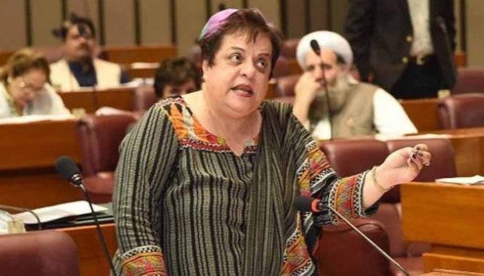 Domestic violence bill to be presented in NA today