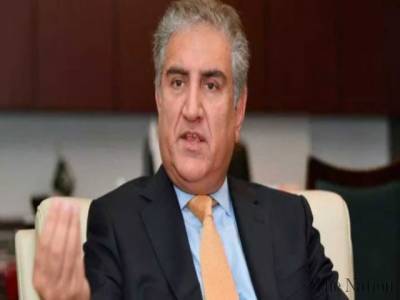 FM Qureshi says Pakistan to raise Indian oppression in IIOJ&K at UNHR Council