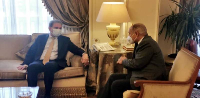 FM Qureshi meets Secretary General Arab League in Egypt