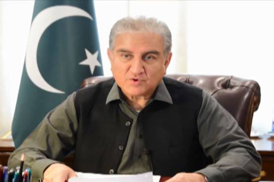 Pakistan values its ties with Hungary: FM Qureshi