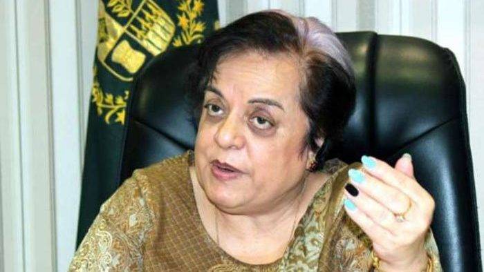 Shireen Mazari says federal cabinet yet to approve ECC's decisions