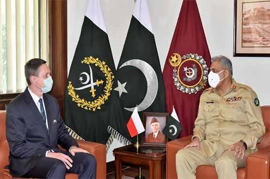 Polish ambassador calls on COAS Bajwa