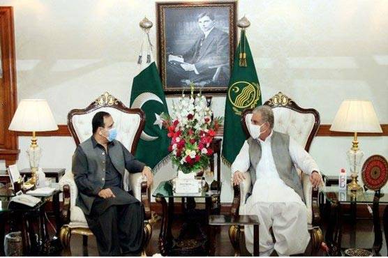 FM Qureshi calls on Punjab CM Buzdar