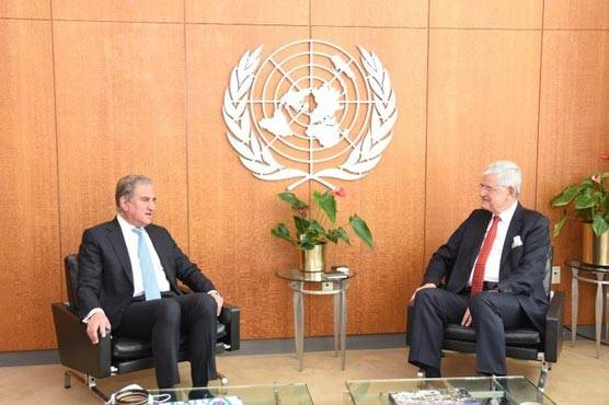 FM Qureshi meets UN General Assembly president, Volkan Bozkir