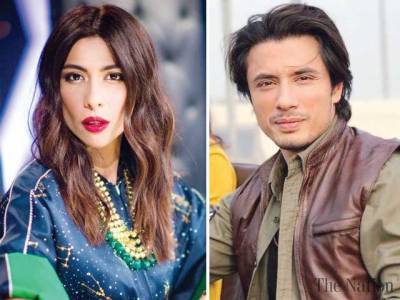 Lahore Court summons lawyers of both parties in Meesha Shafi's case