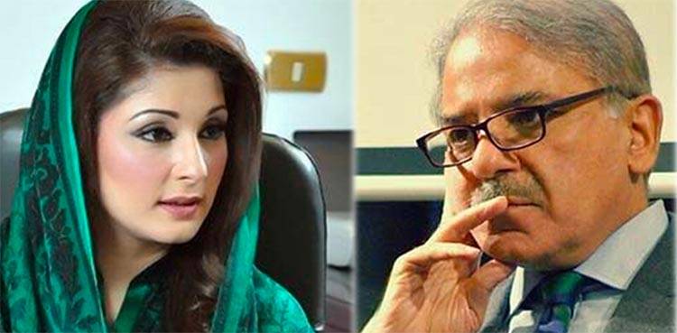 PML-N advises removal of PPP, ANP from PDM: sources