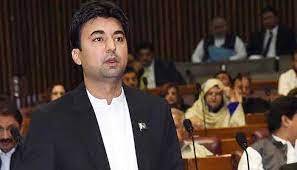 PTI to achieve landslide victory in AJK polls: Murad Saeed 