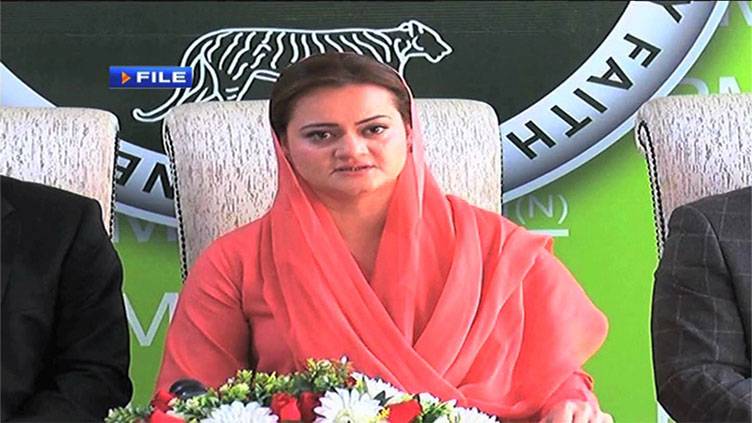 Shelters for political orphans can't become national parties: Marriyum Aurangzeb