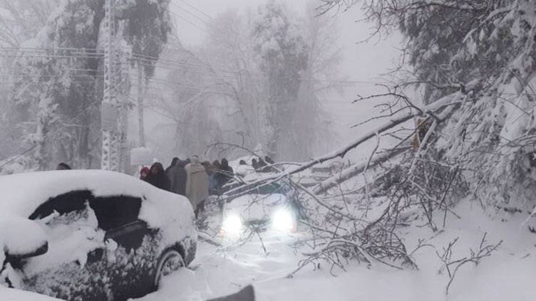 21 die in snow-trapped cars in Murree, other northern areas