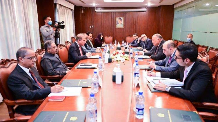 FM Qureshi, Egyptian counterpart discuss bilateral ties, global issues