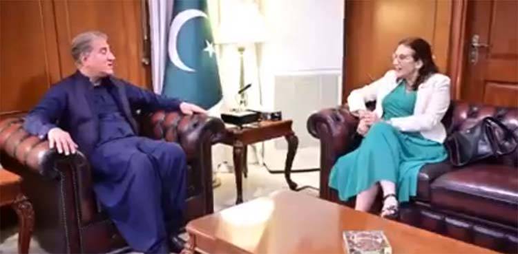 Pakistan values its relationship with European Union: FM Qureshi