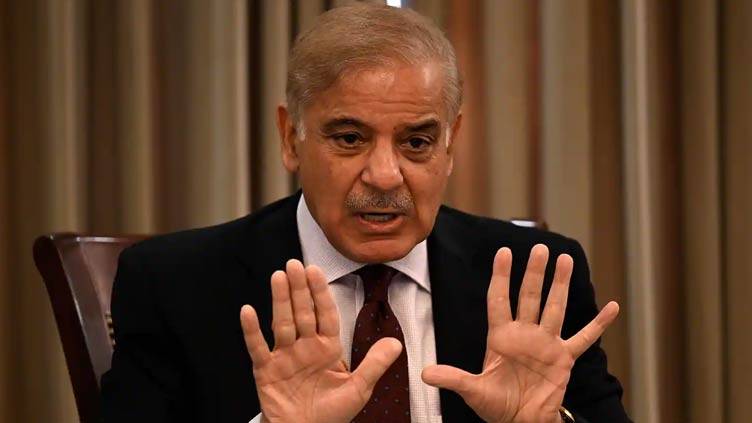 Closure of LNG, oil-powered plants reasons behind loadshedding: PM Shehbaz