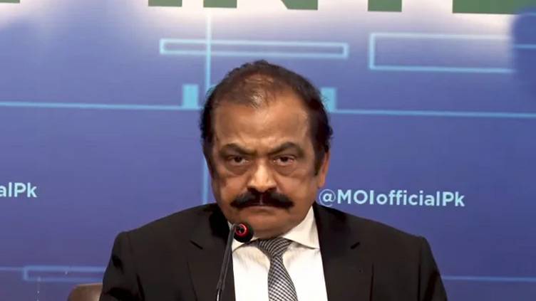 Crackdown against elements maligning people through immoral videos: Rana Sanaullah