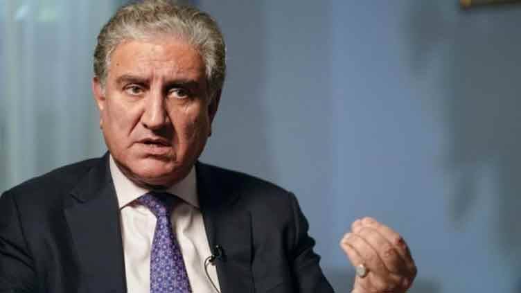 Qureshi expresses concern over bill to bar overseas Pakistanis from voting