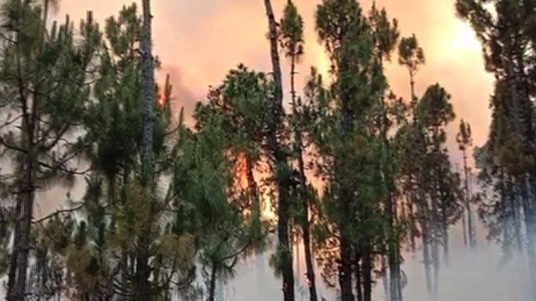 Shangla: Four dead in Chakesar Mountain fire