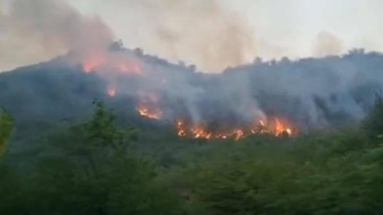 Massive fire breaks out in Sector H-12 forest in Islamabad