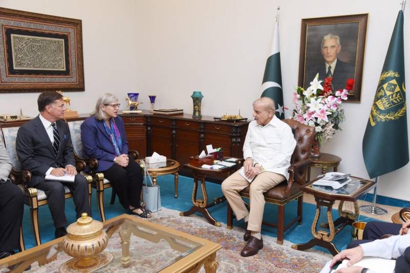 Canadian High Commissioner calls on PM Shehbaz