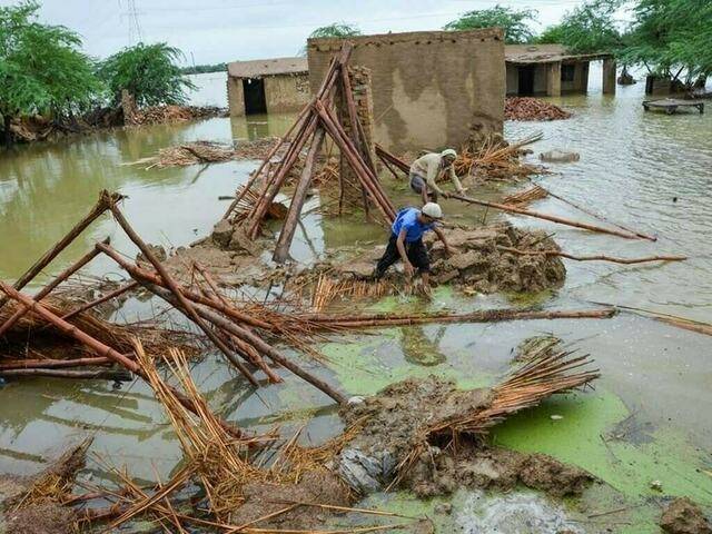 Sindh govt to give cash to build 700,000 houses in flood-hit areas