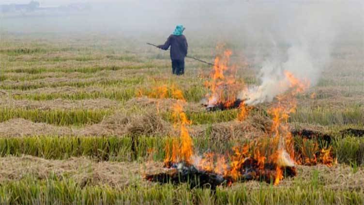 Unchecked residue burning, smoke emission engulfing Punjab