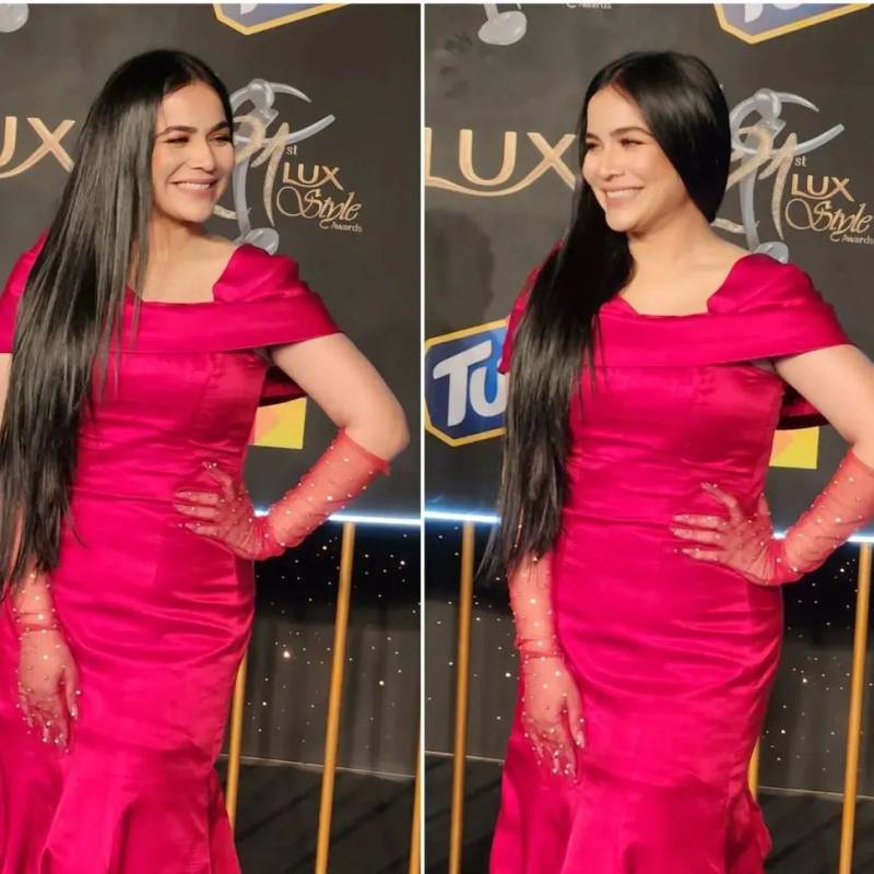 Pakistani divas shine at Lux Style Awards 2022 red carpet