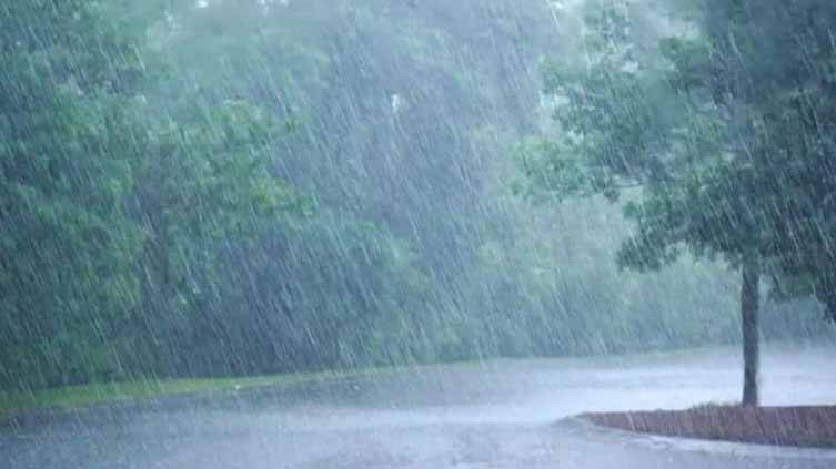 Weather forecast predicts more rain in the coming days