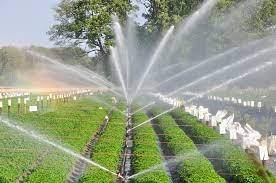 High-efficiency irrigation system need of hour for better yields