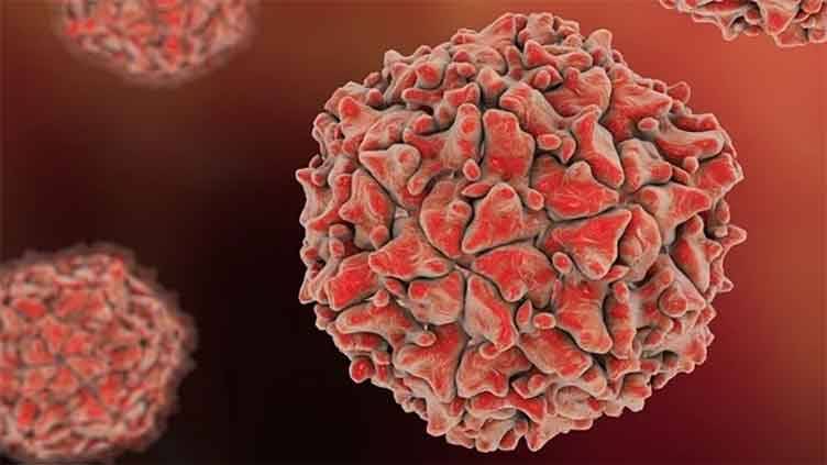 Poliovirus detected in Peshawar, Dera Bugti environmental samples: official