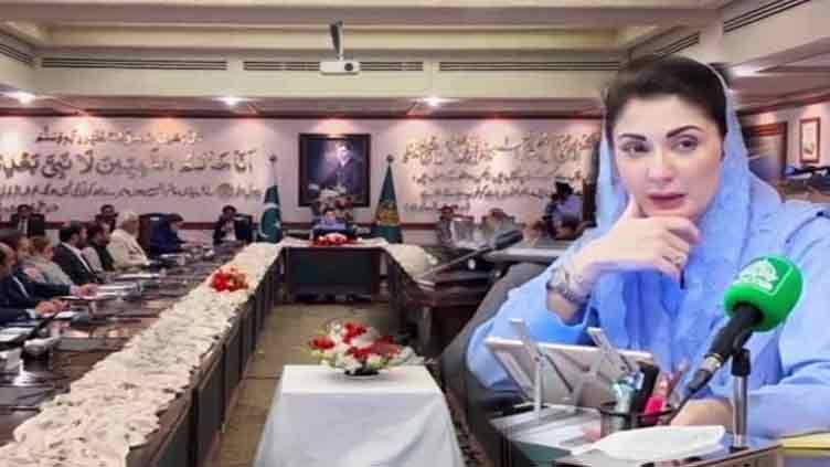 Domestic consumption should determine crop cultivation: Maryam Nawaz